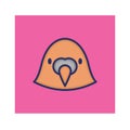 Puffin Isolated Vector icon that can be easily modified or edited Royalty Free Stock Photo