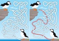 Puffin maze Royalty Free Stock Photo