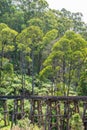 Puffing Billy steam train Royalty Free Stock Photo