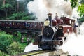 Puffing Billy steam train in the Dandenong Ranges