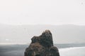 puffins on beautiful rock formation in water near icelandic seacoast, vik dyrholaey, reynisfjara Royalty Free Stock Photo