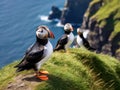 Puffins Fratercula arctica Made With Generative AI illustration