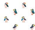 Puffins seamless pattern