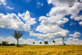 Puffy clouds and blue sky