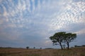 Puffy cotton clouds over Ezemvelo Royalty Free Stock Photo