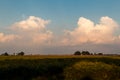 Puffy cumulus clouds on a bright midsummer morning, over Illinois farmland Royalty Free Stock Photo
