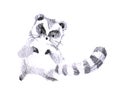 Puffy cute raccoon pencil drawing