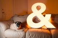 Pug and Ampersand