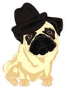 Pug in black detective hat