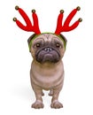 Pug cartoon with christmas antlers is sad