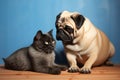 Pug and cat, a delightful duo, rest together, utterly endearing Royalty Free Stock Photo