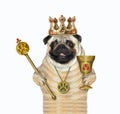 Pug in crown holds gold scepter