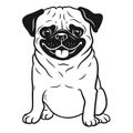 Pug dog black and white hand drawn cartoon portrait. Funny happy Royalty Free Stock Photo