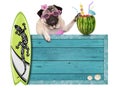 Pug dog with blue vintage wooden beach sign, surfboard and summer watermelon cocktail, isolated on white background Royalty Free Stock Photo