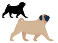 Pug Dog Breed in Cartoon and Outline