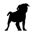 Standing Pug Dog Silhouette. Good To Use For Element Print Book, Animal Book and Animal Content