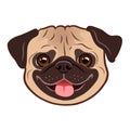 Pug dog cartoon illustration. Cute friendly fat chubby fawn pug