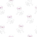 Vector cute pug vector pattern Royalty Free Stock Photo