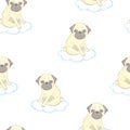 Vector cute pug vector pattern Royalty Free Stock Photo