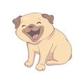 Pug dog cartoon illustration. Cute friendly fat chubby pug sitting pug puppy, smiling with tongue out. Royalty Free Stock Photo