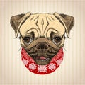 Pug Dog Christmas Card, Hand Drawn Illustration With Cute Pug Dog Dressed In Christmas Sweater