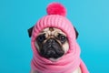 Pug dog in funny y2k outfit in pink and blue colors, pets in fashion clothes in studio. Humanlike animal funny character