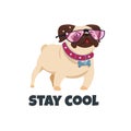 Pug dog with glasses. Funny puppy friend. Cute pug pet. Stay cool vector illustration