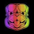Pug dog head colorful vector illustration