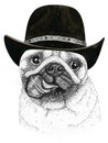 Pug dog head hand drawn illustration. Wild animal wearing cowboy hat Wild west