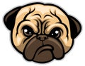 Pug dog head Royalty Free Stock Photo