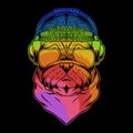 Pug dog headphone colorful vector illustration