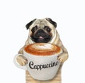 Pug with cup of cappuccino Royalty Free Stock Photo