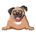 Pug dog icon, cartoon style Royalty Free Stock Photo