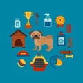 Pug dog infografic concept with dog care elements.