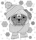 Pug dog with knitted hat and scarf. Tattoo or adult antistress coloring page. Black and white hand drawn doodle for coloring book