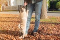 Pug dog licks human owner face. Man with his dog playing and having fun in the park. Concepts of friendship with pets Royalty Free Stock Photo