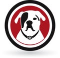 Pug dog logo Royalty Free Stock Photo