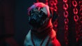 Pug dog looking seriously cool sporting a colorful rainbow cyber goth hairstyle wig - Ai generated