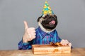 Pug dog with man hands holding gift showing thumbs up