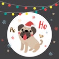 Pug Dog Merry christmas color light bulbs Royalty Free Stock Photo