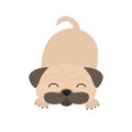 Pug dog mops. Cute cartoon character. Flat design. Isolated. Wite background.