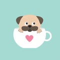 Pug dog mops paw sitting in big cup with heart. Cute cartoon character. Flat design. Blue background.