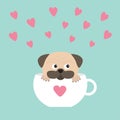 Pug dog mops paw sitting in white cup with heart. Cute cartoon character. Flat design. Blue background.