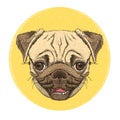 Pug Dog Portrait Emblem