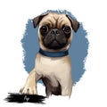 Pug Dog Portrait Isolated On White. Digital Art Illustration Of Hand Drawn Dog For Web, T-shirt Print And Puppy Food Cover Design