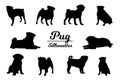 Pug dog silhouettes Royalty Free Stock Photo