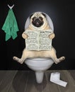 Pug reads newspaper on toilet bowl Royalty Free Stock Photo