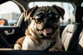 Pug dog in sunglasses sitting in the back seat of a car