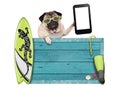 Pug dog on vacation with blue vintage wooden beach sign, surfboard and mobile phone / tablet, isolated on white background Royalty Free Stock Photo