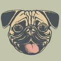 Pug dog vector illustration Royalty Free Stock Photo